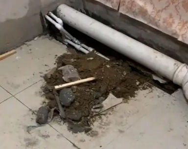 双牌卫生间漏水检测哪家好